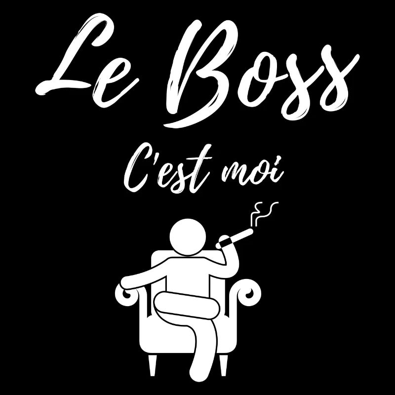Le boss c'est moi 2