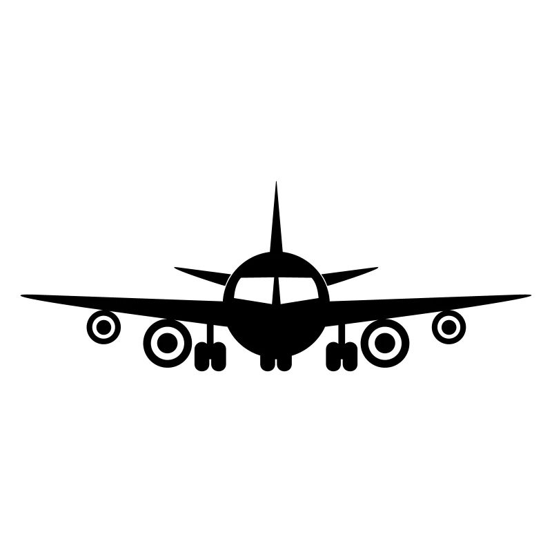Fly a plane