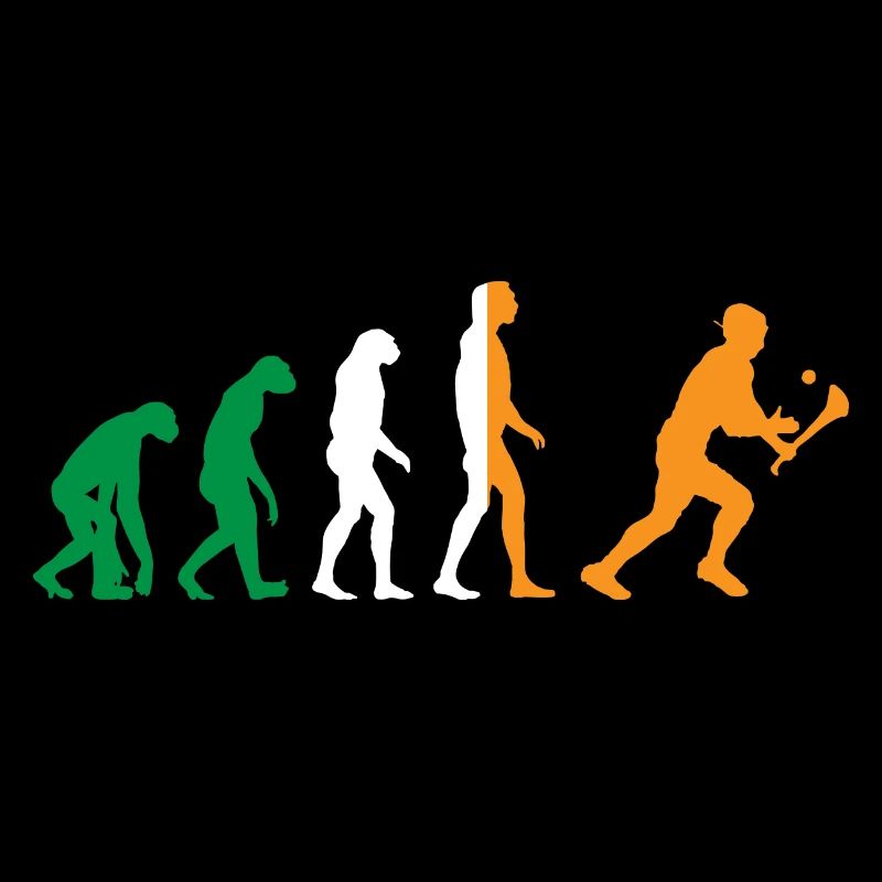 Die Evolution von Hurling