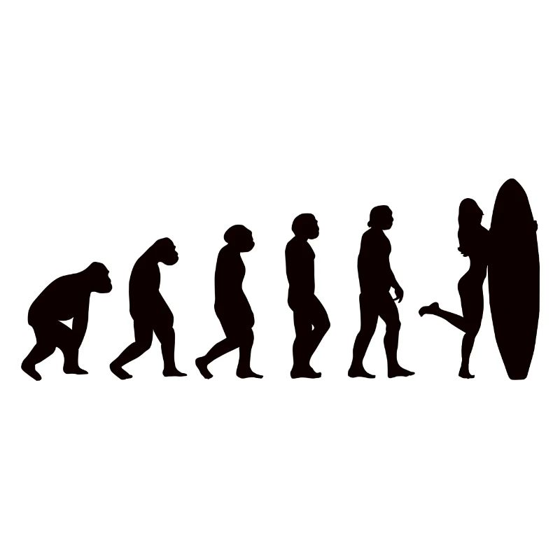 Surfer Surfboard Surfing Evolution Surfing