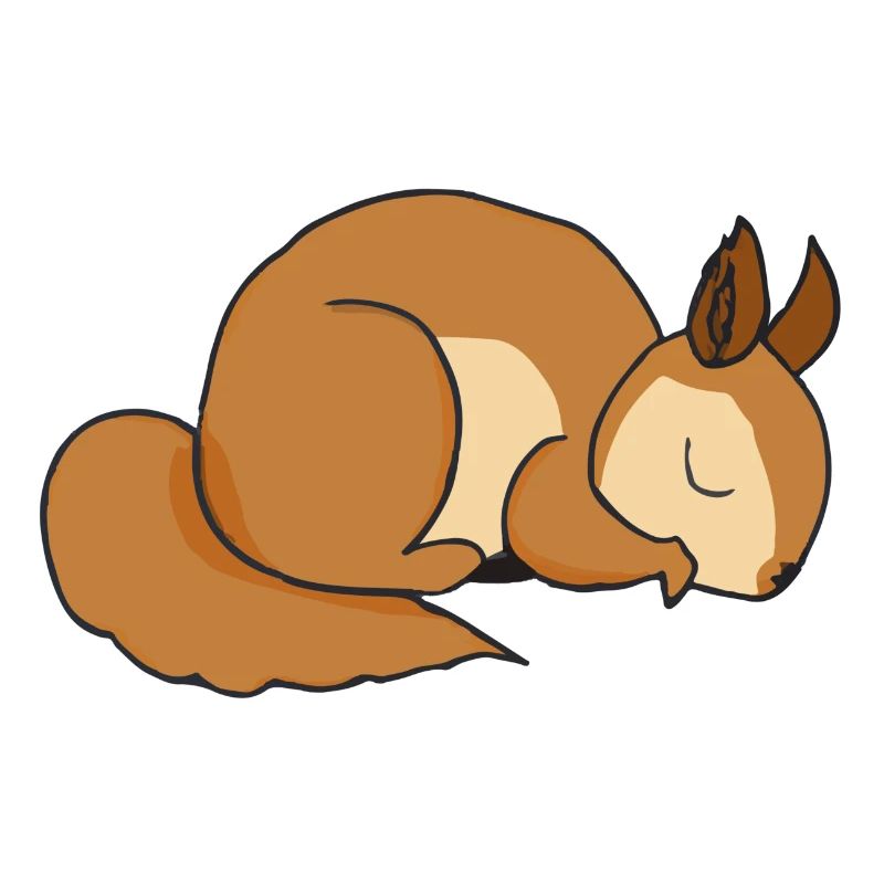 Sleeping Squirrel Gift Idea Pyjamas