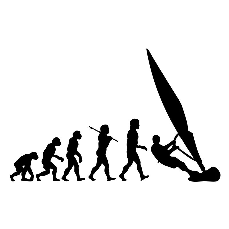 ws01 windsurf evolution