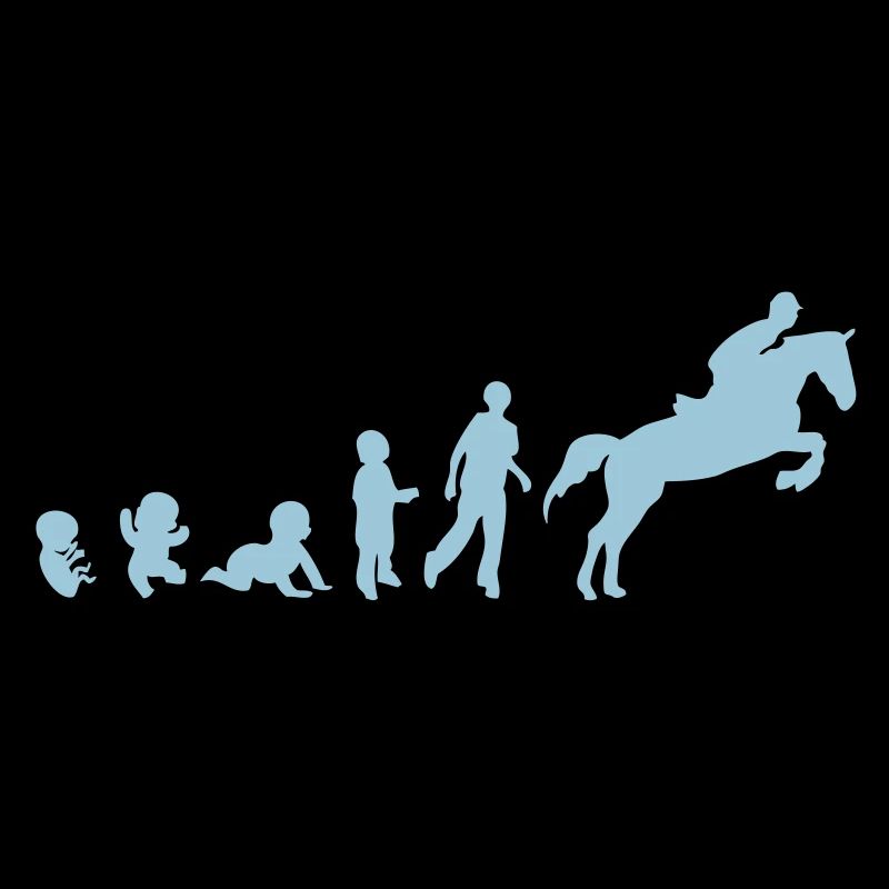 Evolution cheval3 obstacle riding his