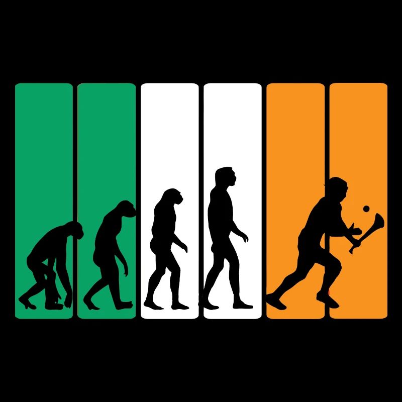 L’évolution du hurling