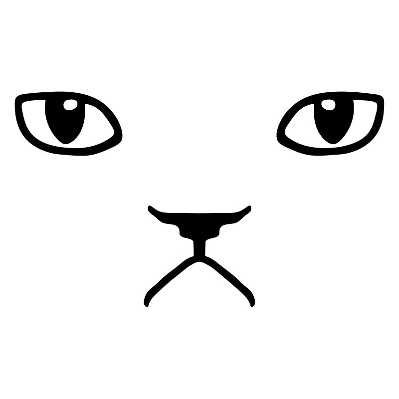 chat pas content grumpy kitty cat