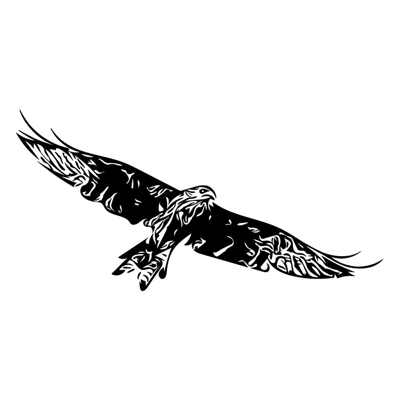 Greifvogel auf breiten Schwingen