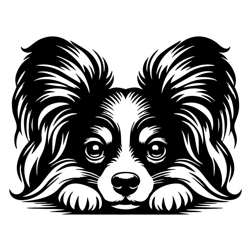 Papillon Head with Paws