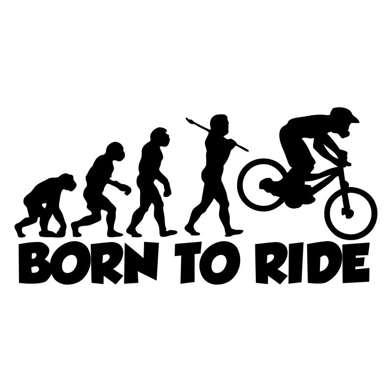 mtb evolution downhill born to ride