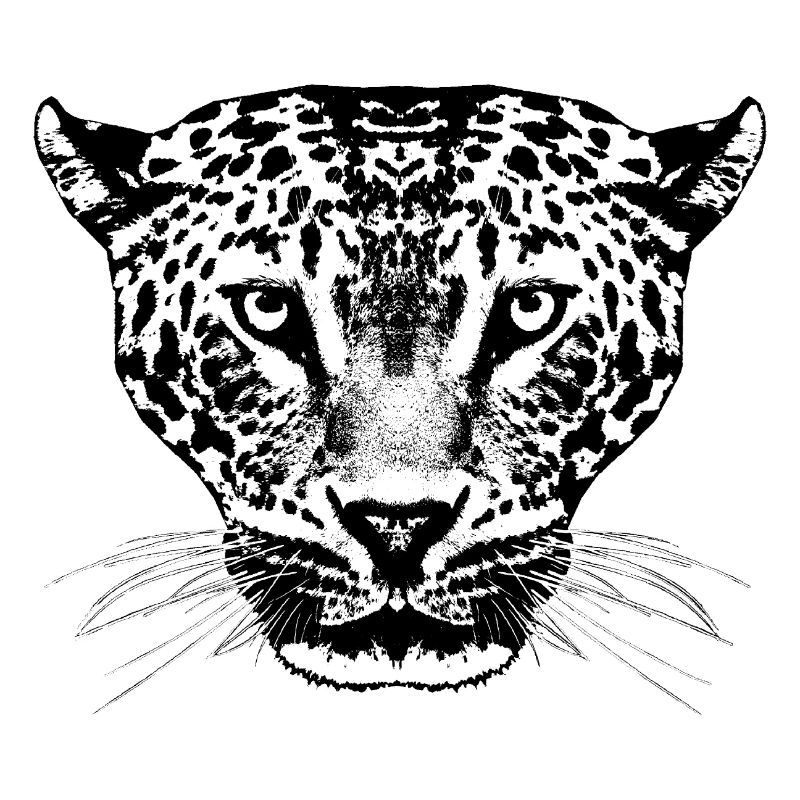 Leopard / Head