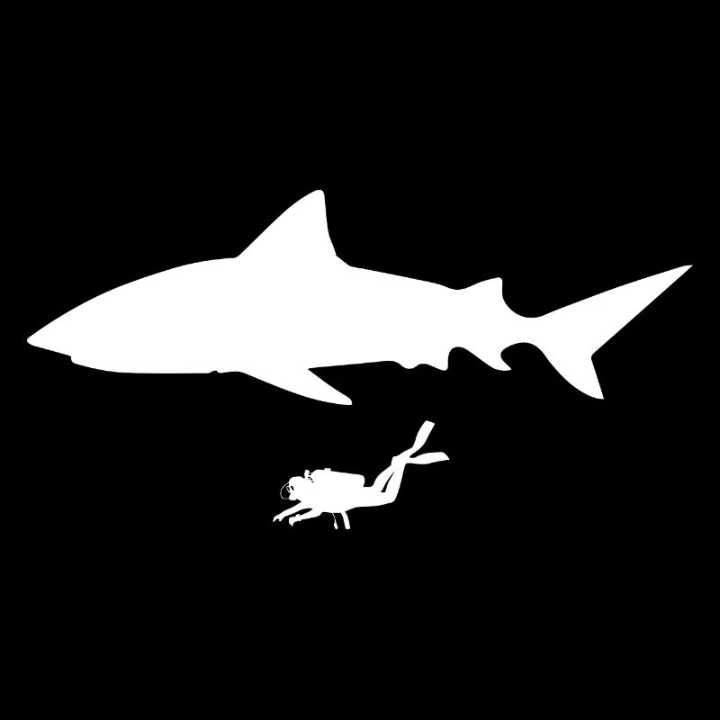Diving Dive Dive
