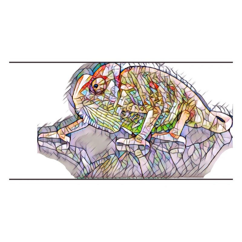 Caméléon - Impression d’art colorée et élégante