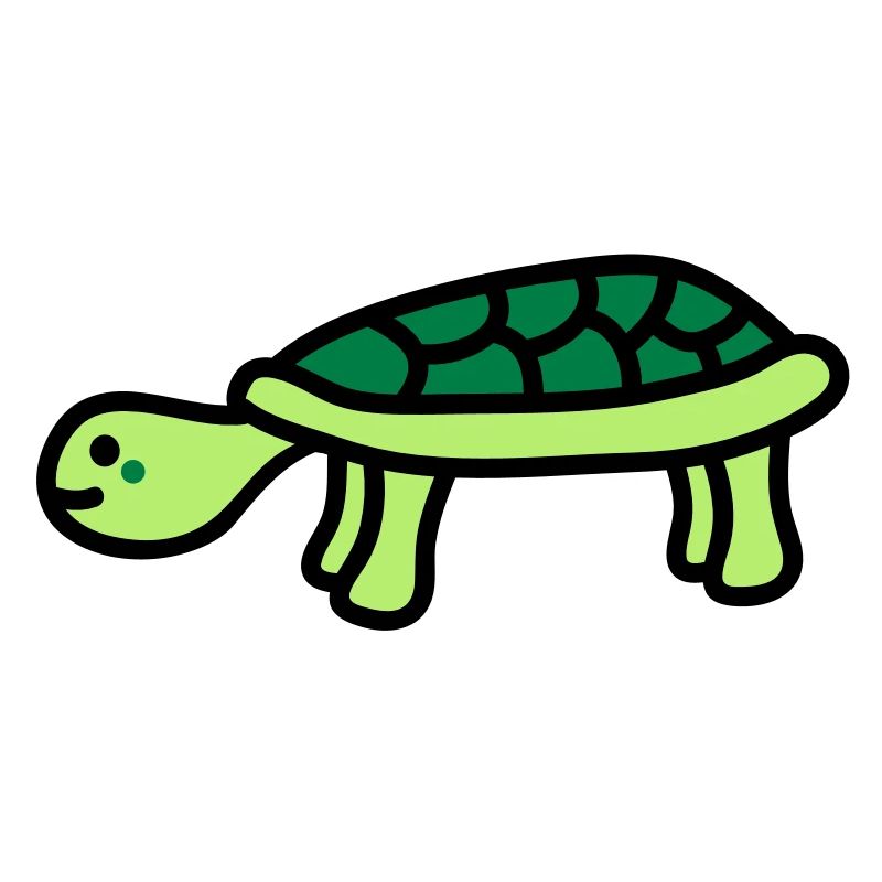 turtle