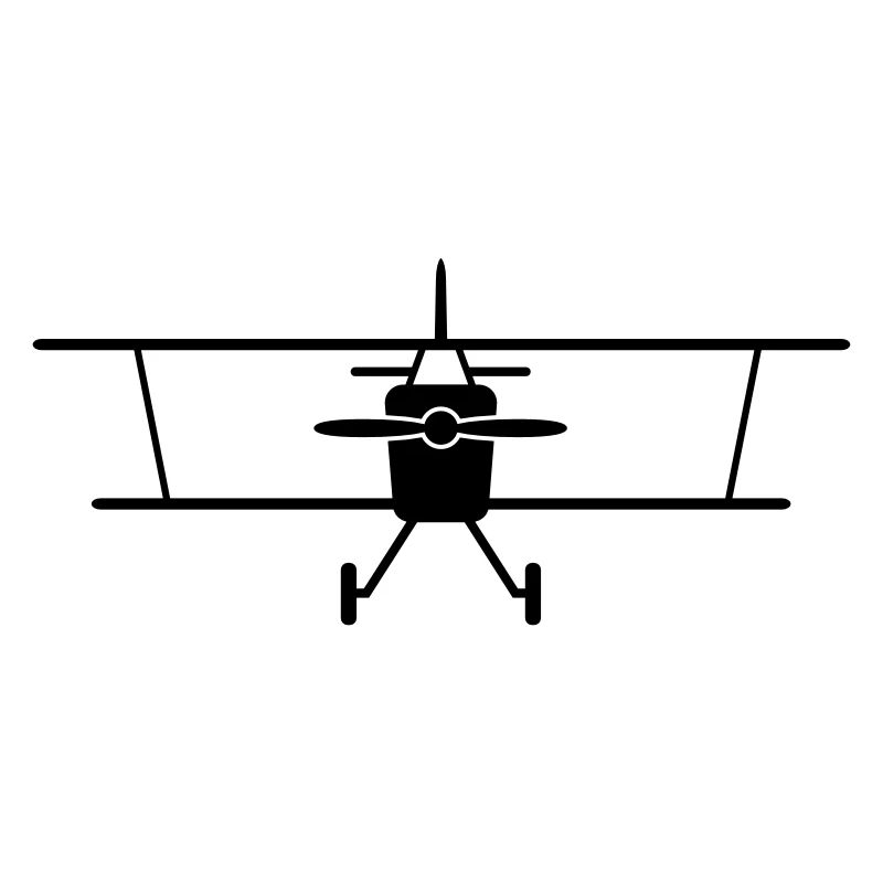 Fly a plane