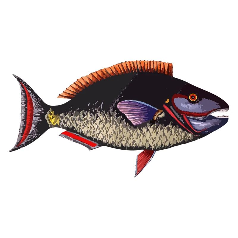 fish