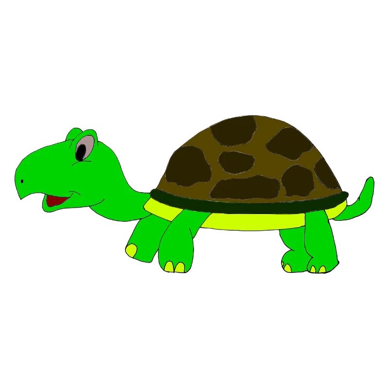 schildkröte