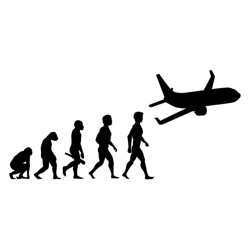 plane fliers fly evolution pilots cockpit