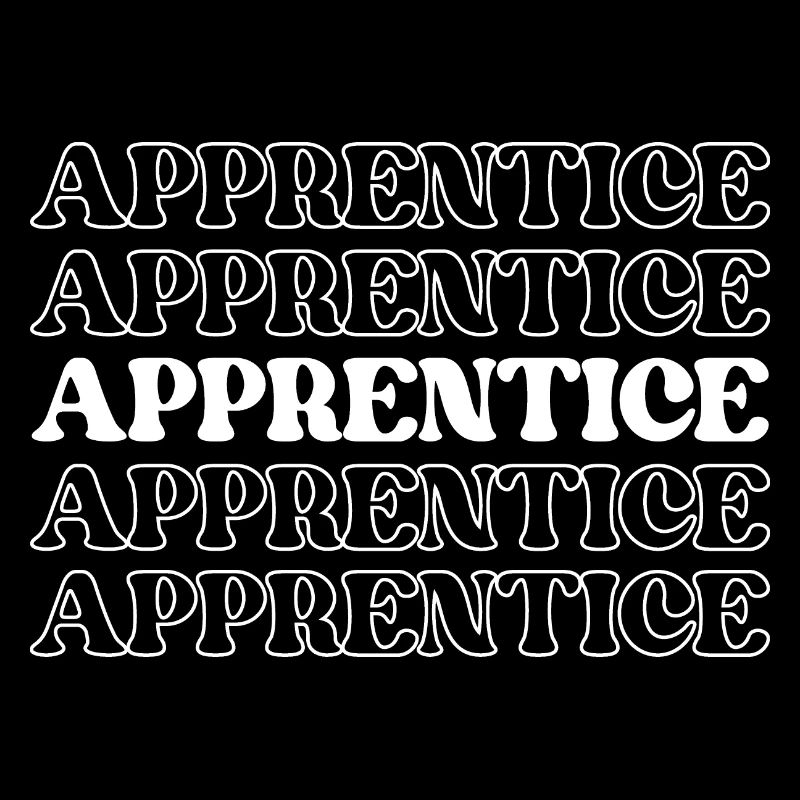 Apprentice Trainee Apprentice Novice Learner