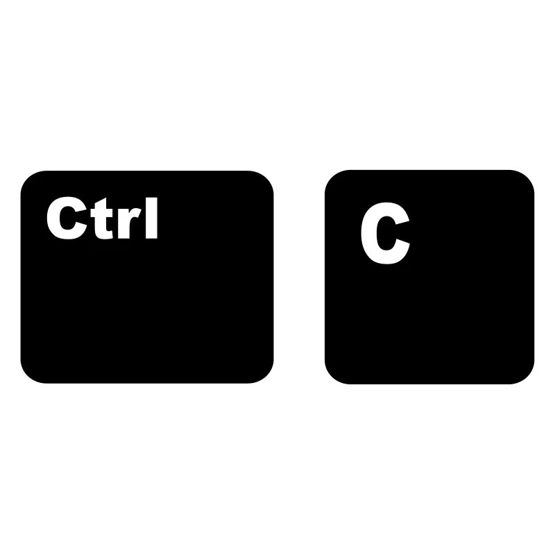 Ctrl C Copy and Paste Father and Son Partner Shi