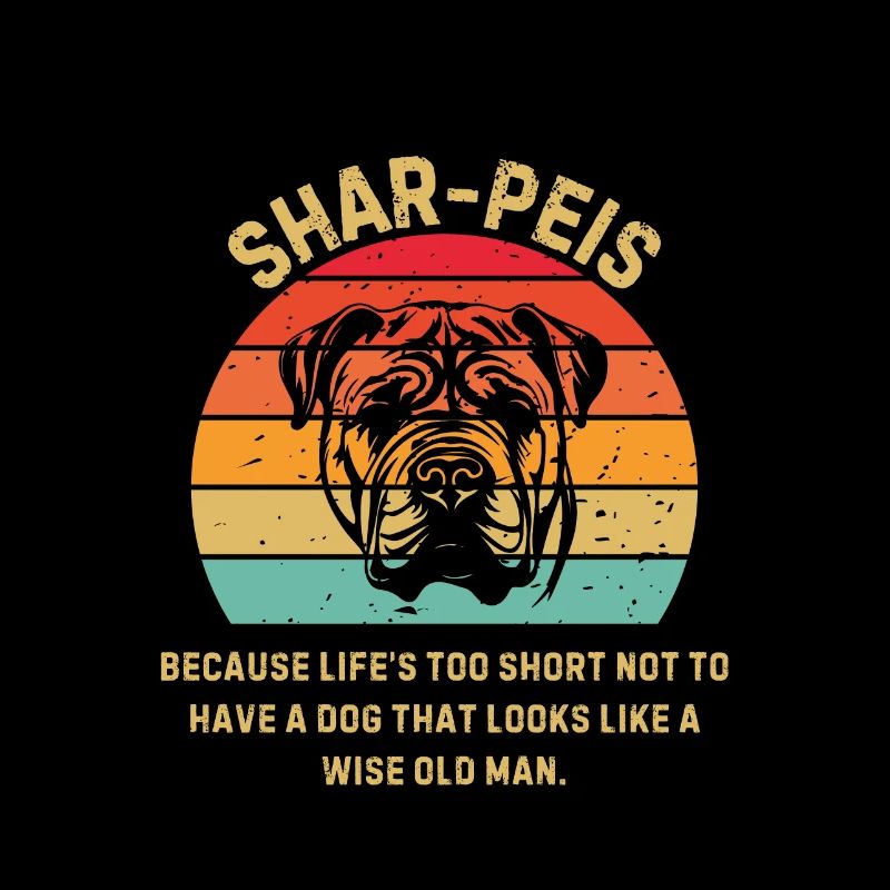 Shar Pei Coucher de soleil rétro
