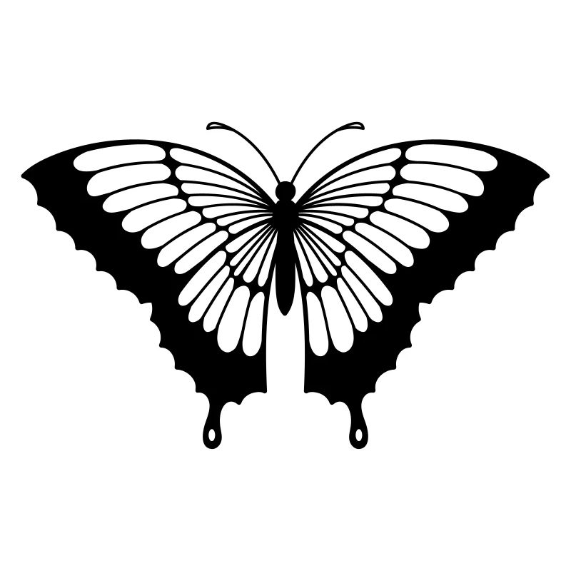 Papillon Noir/Transparent Aux Ailes Déployées N°2