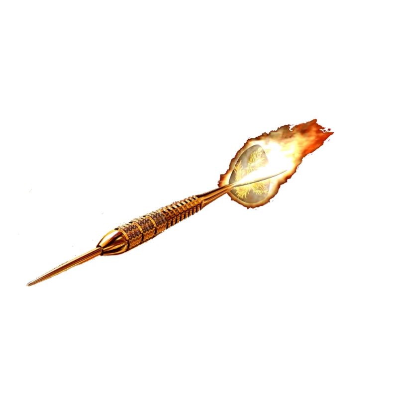 Fléchettes, Fléchettes