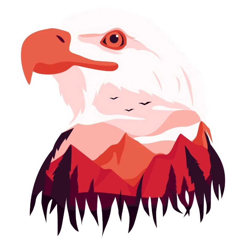 Eagle Bald Eagle