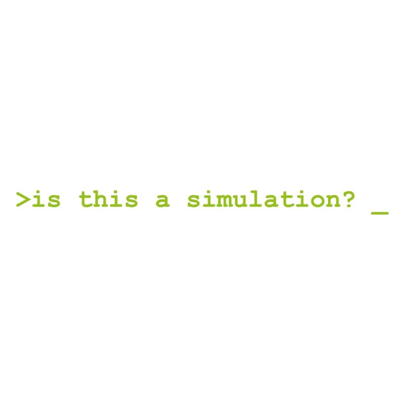 Is this a simulation programming informatique
