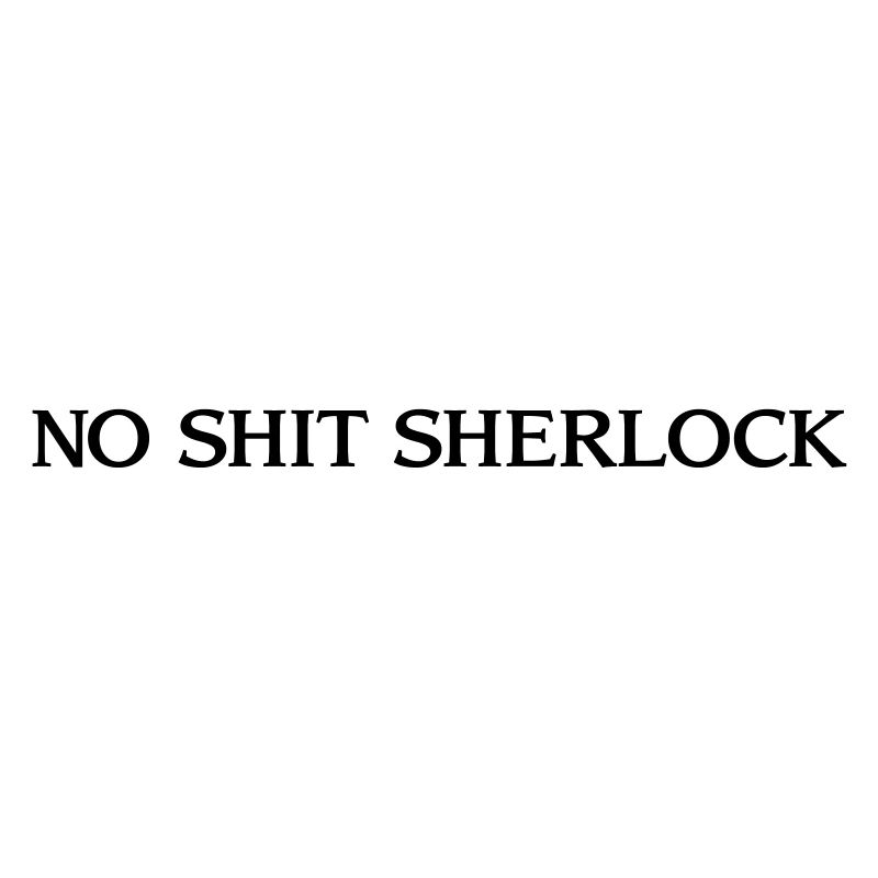 No Shit Sherlock - drôle de drôle d’anglais