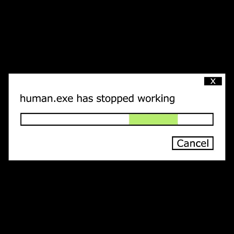human.exe has stopped working Spruch human .exe