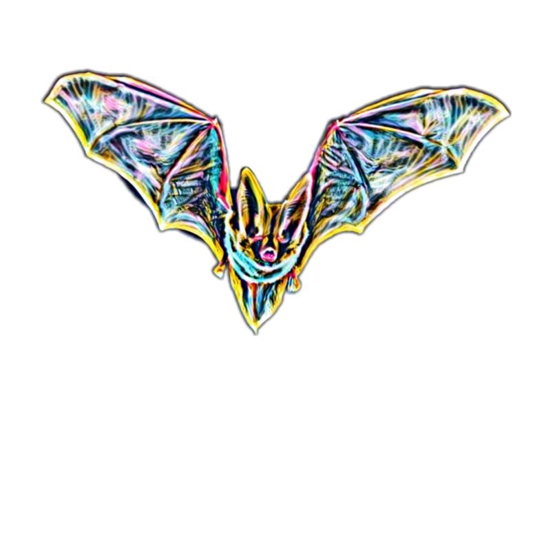 bat