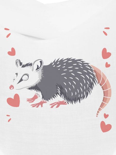 Opossum Possum Animal