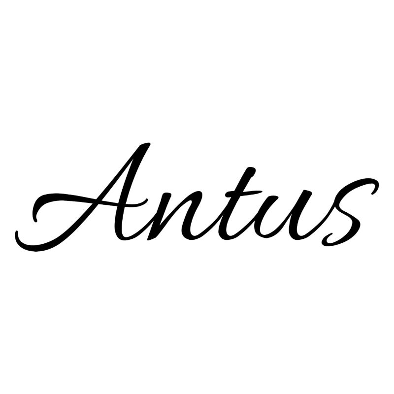 Antus - Software Marktplatz Unternehmen