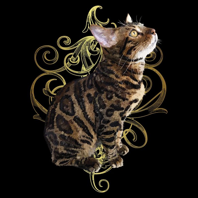 Chat du Bengale