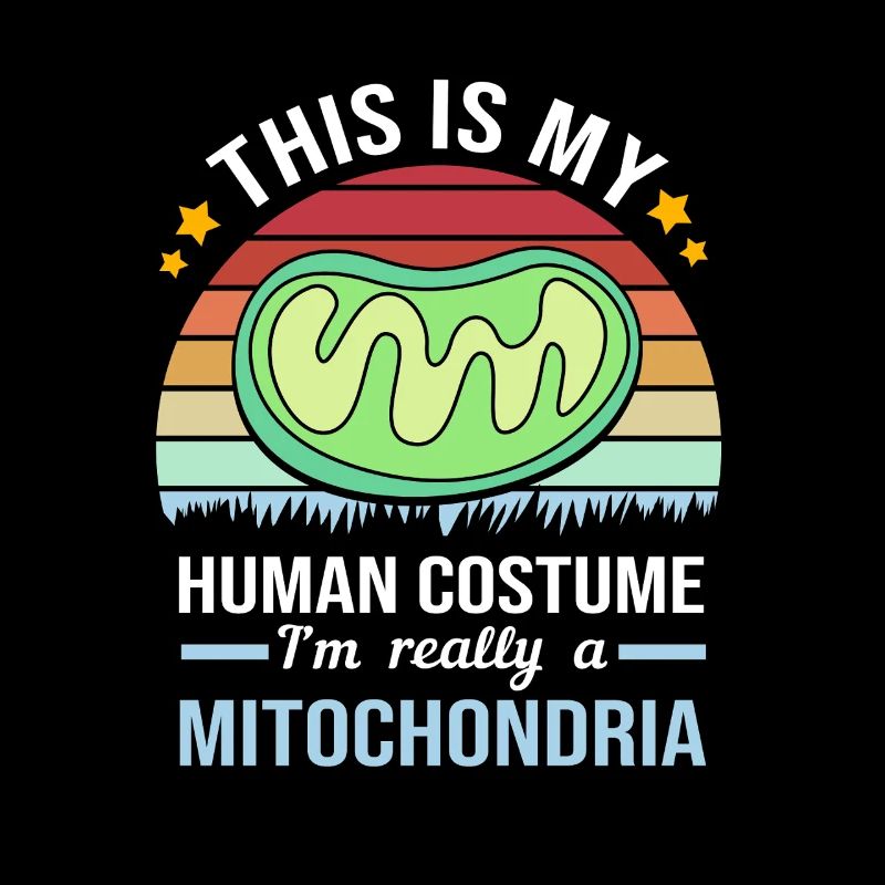 Formule structurelle de la molécule