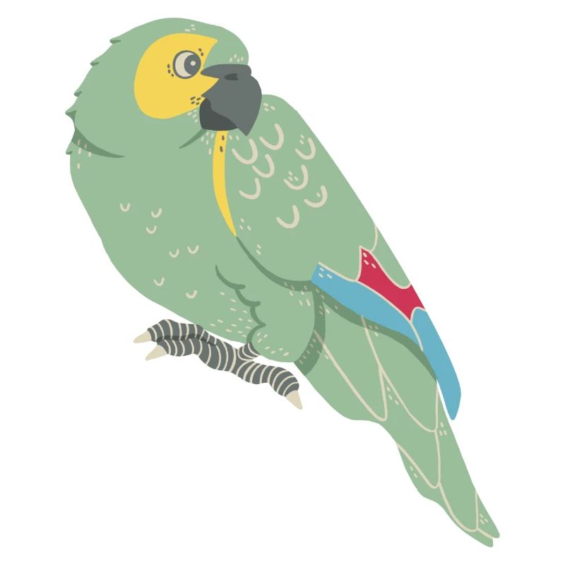 Parrot: Blue-fronted parrot