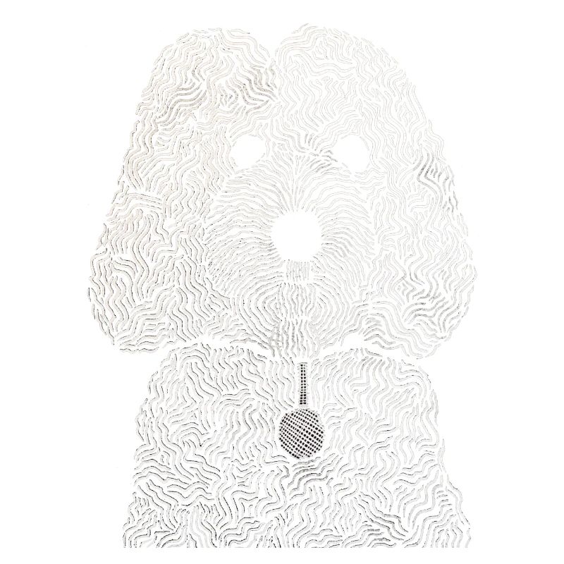 Cockapoo