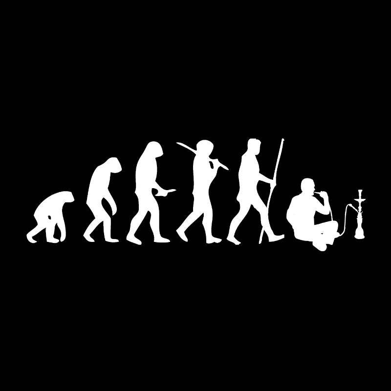 EVOLUTION shisha