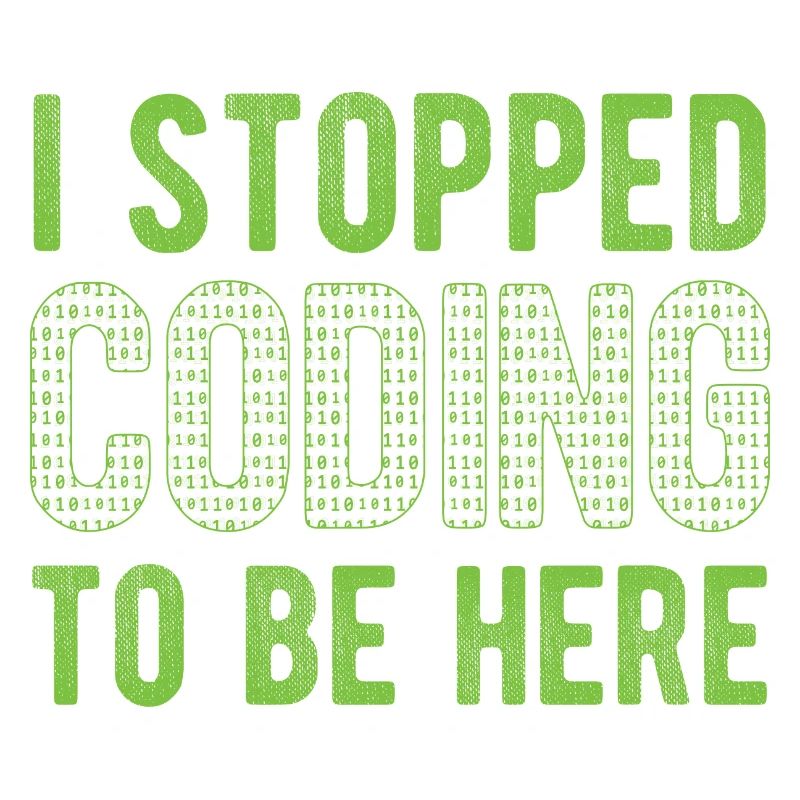 Software Ingenieur Informatiker Programmierer