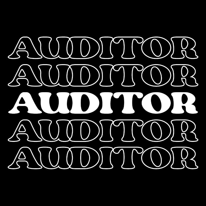 Auditor Examiner Checker Auditor Inspector