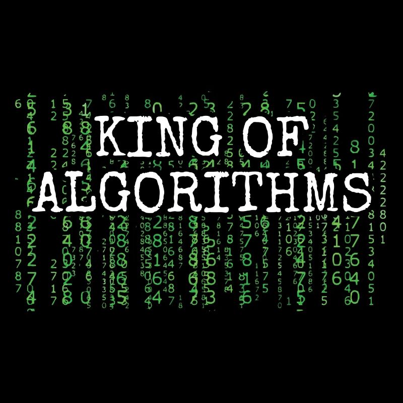 Software Ingenieur Informatiker Programmierer