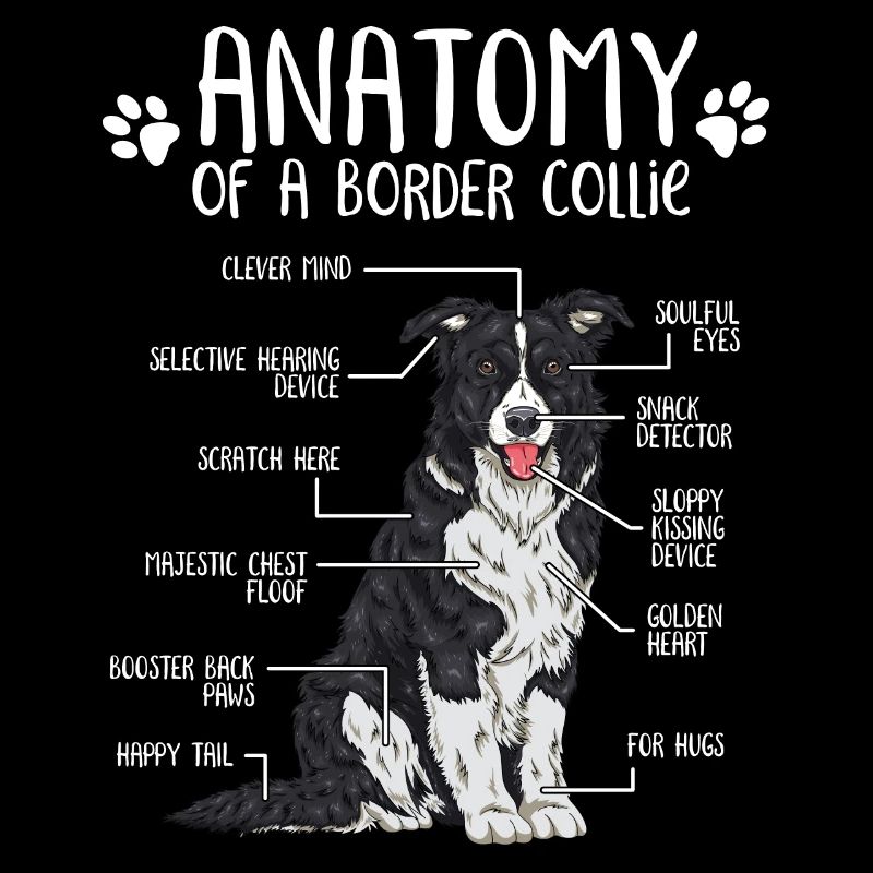 Anatomie Border Collie Hundehalter Geschenk