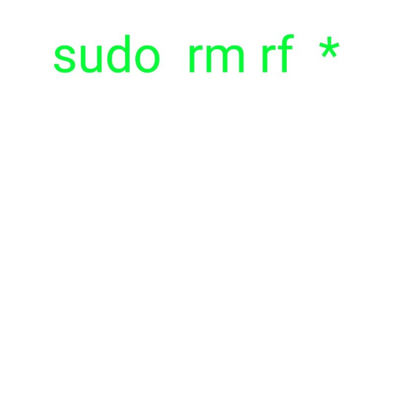 Linux sudo rm rf