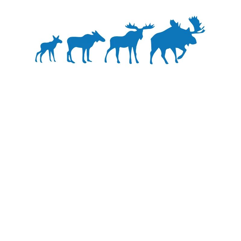 Evolution de l’orignal