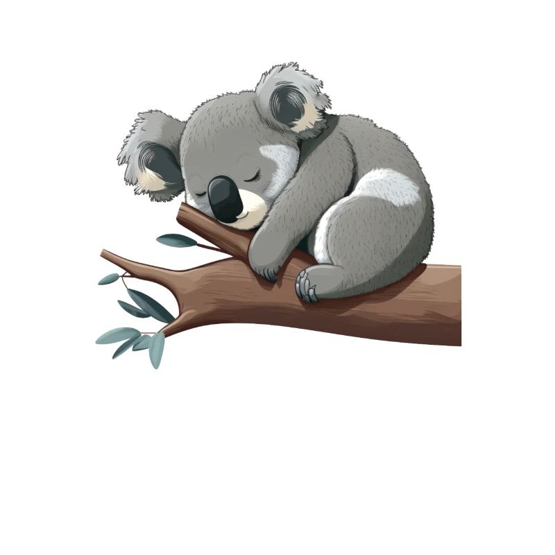 Koala bear Koala sleeping. Great for sleeping.
