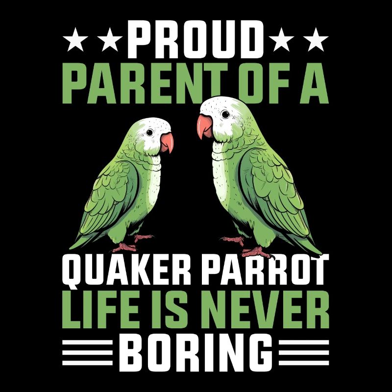 Moine vert Acteur Quaker Conure Perroquets