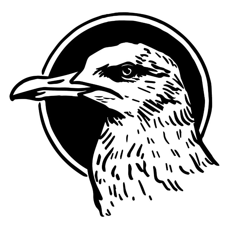 Gull