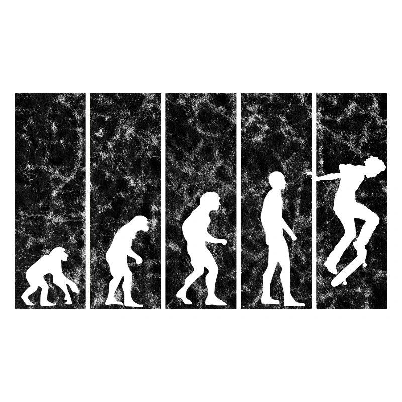 Evolution Skateboarder Skateboard Skater Skate