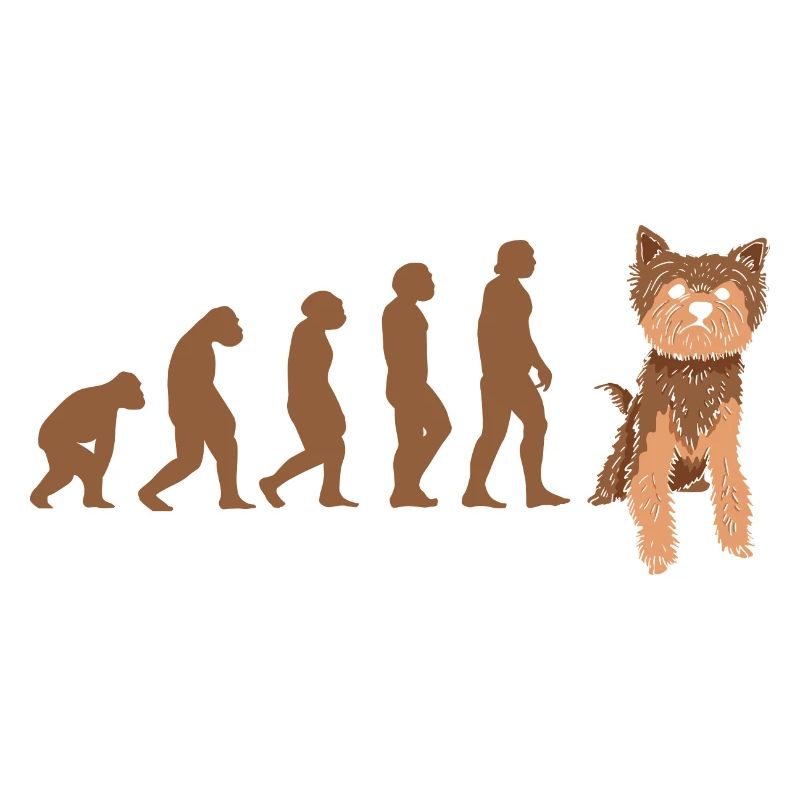 Evolution Yorkshire Terrier