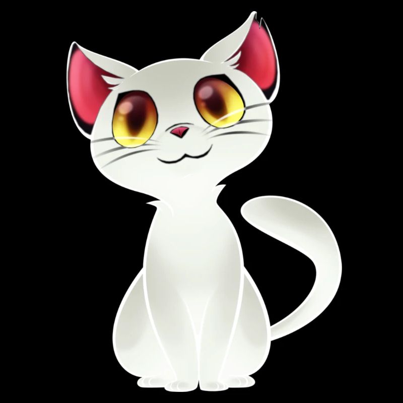 chat blanc - chat blanc