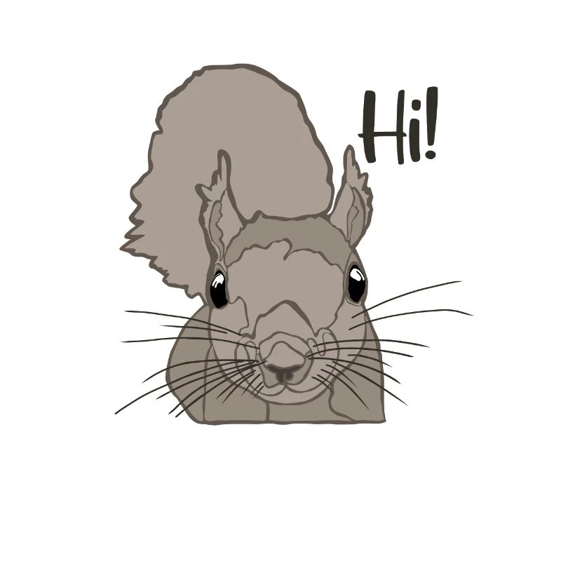 Grauhörnchen Squirrel Fuchshörnchen Eichhörnchen